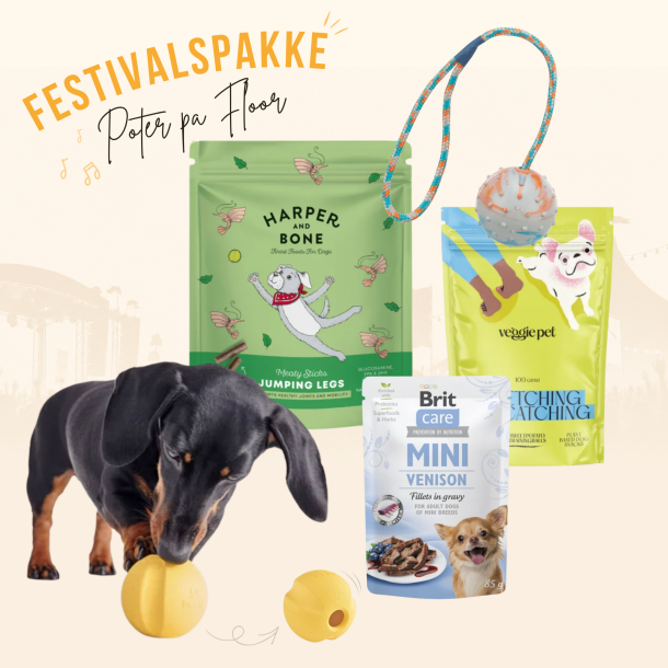 Festivalspakke - Poter p� Floor