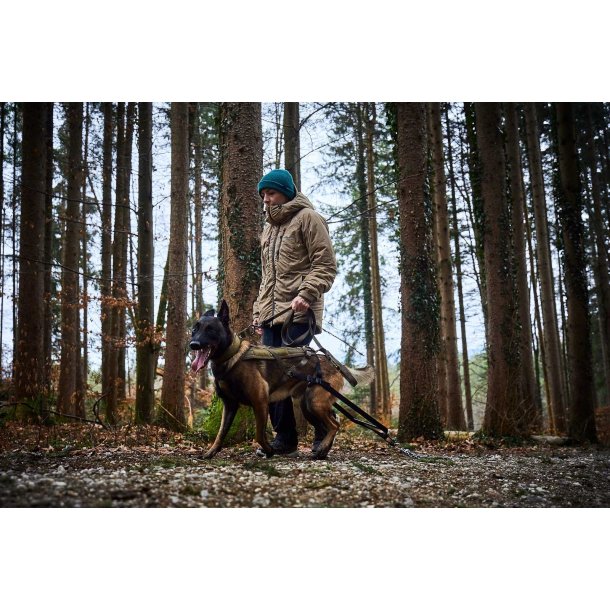 WD solid collar - justerbart velcro halsbnd