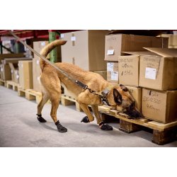 WD solid collar - justerbart velcro halsbnd