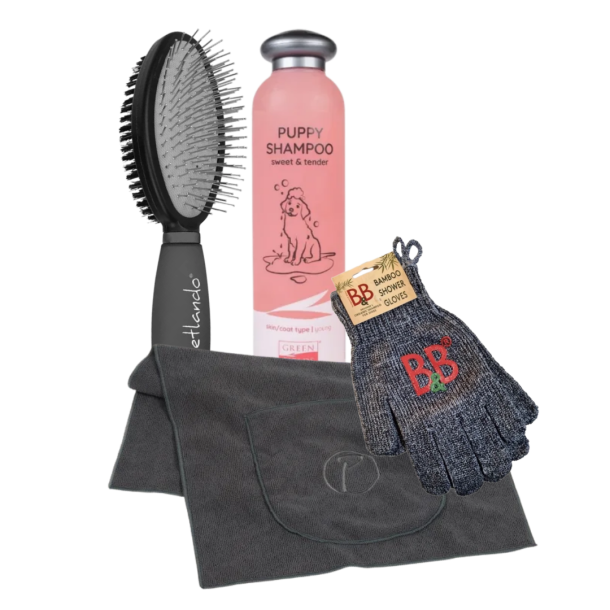 Bl�d Start, hvalpens f�rste bad