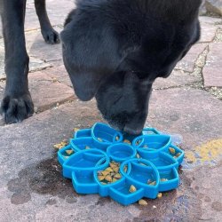 Sodapup Mandala Design Etray - bl