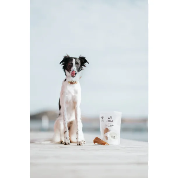 Pala - Luksus Hestehud, 100g