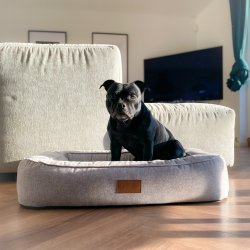 Lima Ortopdisk Hundeseng - Gr