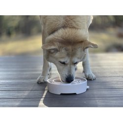 Sodapup Kaffe Ebowl Slow Feeder