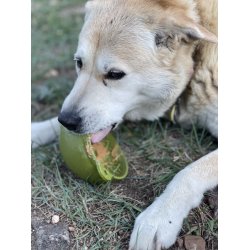 Sodapup Garden, Eatin' Tipsy Bowl  - Grn