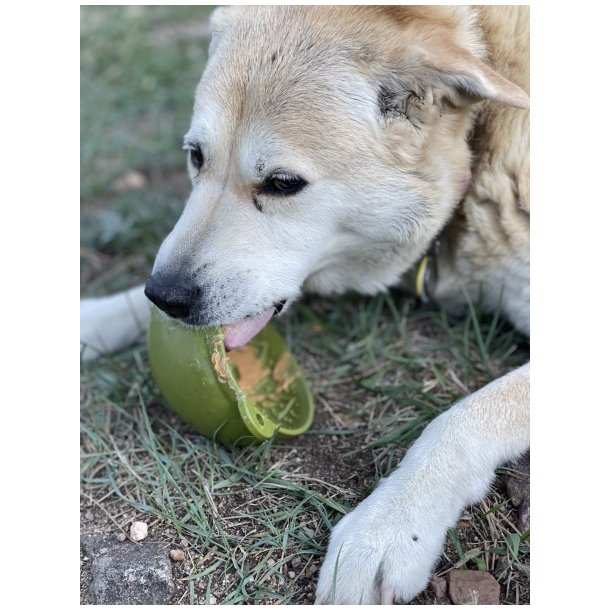 Sodapup Garden, Eatin' Tipsy Bowl  - Grn