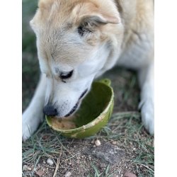 Sodapup Garden, Eatin' Tipsy Bowl  - Grn