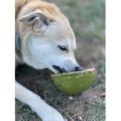 Sodapup Garden, Eatin' Tipsy Bowl  - Grn
