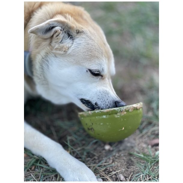 Sodapup Garden, Eatin' Tipsy Bowl  - Grn