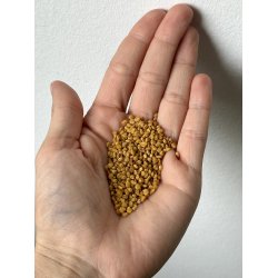 Bipollen - Immunsystem