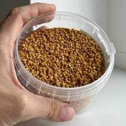 Bipollen - Immunsystem