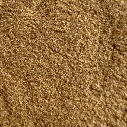 Hunderose hyben - Vitalitet