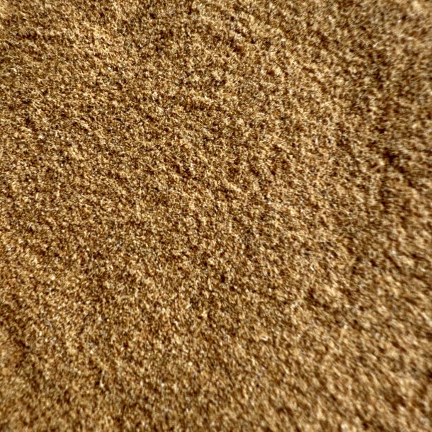 Hunderose hyben - Vitalitet