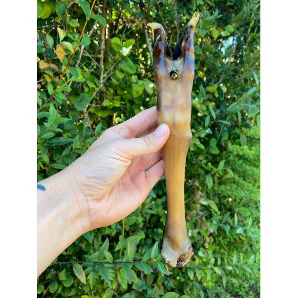 Snack'It Lammeunderben - 3 stk. uden pels