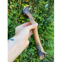 Snack'It Lammeunderben - 3 stk. uden pels