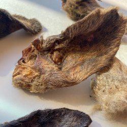 Snack'it Lammerer Med Pels