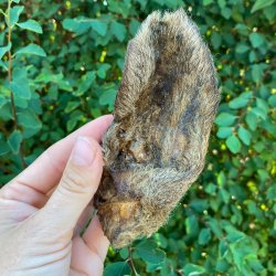 Snack'it Lammerer Med Pels