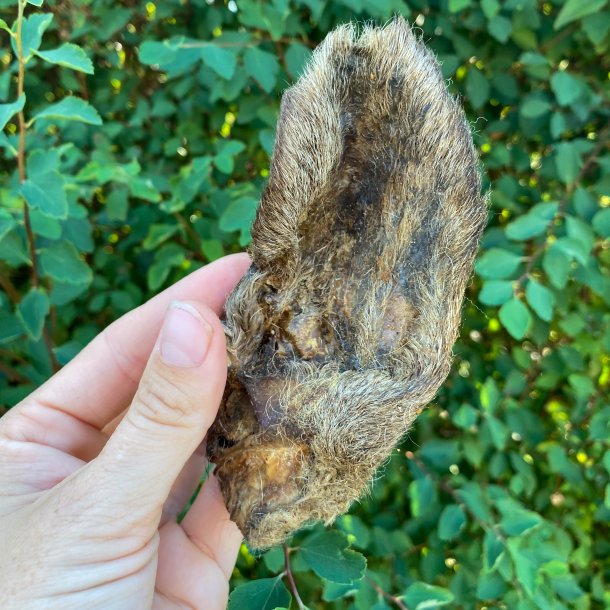 Snack'it Lammerer Med Pels