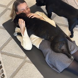 B&B Professionel Grooming/tr�nings-m�tte - 60 x 120 cm