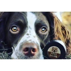 B&B Slvsalve - 60ml.