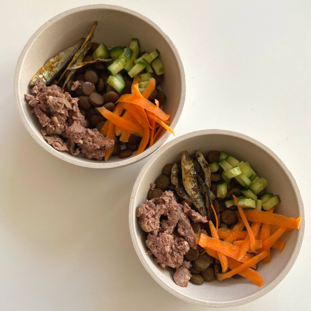 District 70 - Bambus hundeskl m. antislip bund 