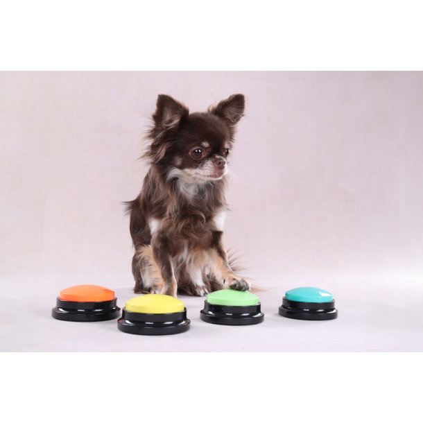 Kommunikationsknapper Til Hund - Optag Selv Lyden, 4-pak