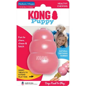 Kong puppy