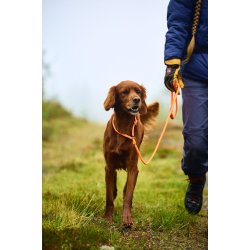 Retriever hundesnor - Orange
