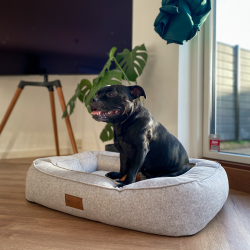 Lima Ortopdisk Hundeseng - Gr