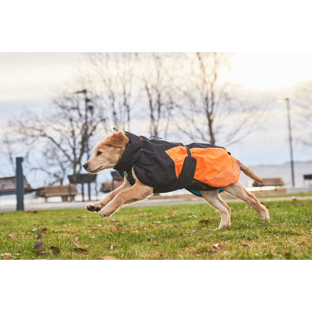 Nonstop Dogwear 2.0 - Glacier dkken | Bl
