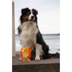 MUSH Frysetrret godbidder m. Kylling