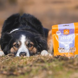 MUSH Frysetrret godbidder m. Lam