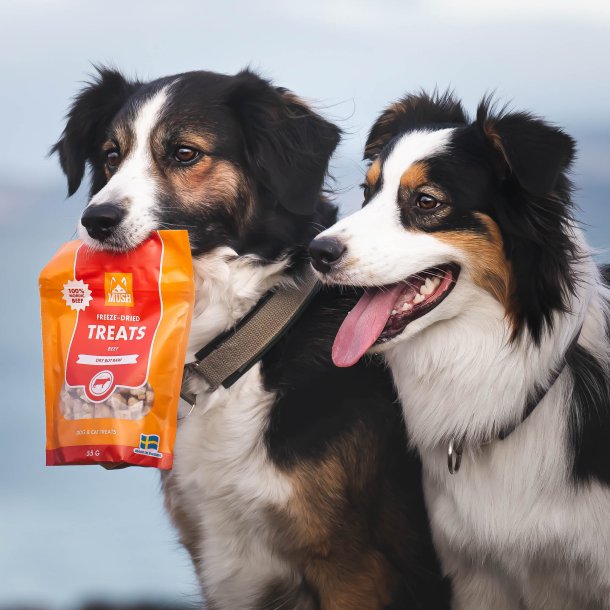 MUSH Frysetrret godbidder m. Okse