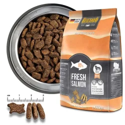 Mastercraft Frisk Laks - Premium Trfoder