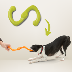 West Paw Bumi Hunde-legetj