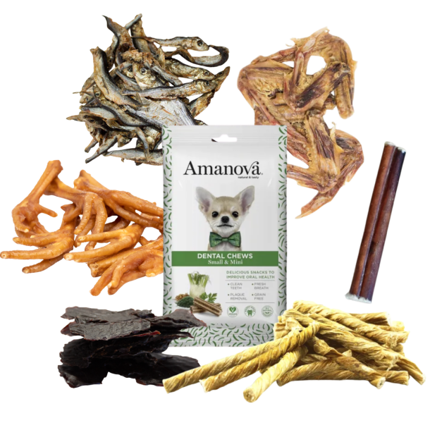 SnackCombo - Sm� Tyggere