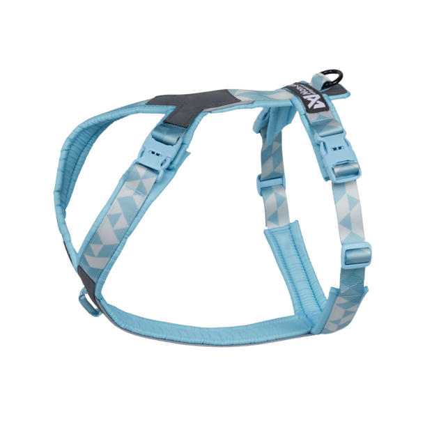 Non-Stop Dogwear Line Harness CLIP'N - ice blue