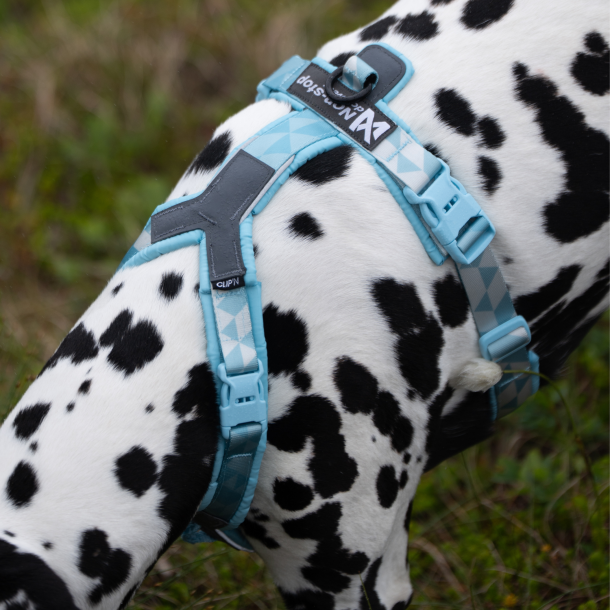Non-Stop Dogwear Line Harness CLIP'N - ice blue