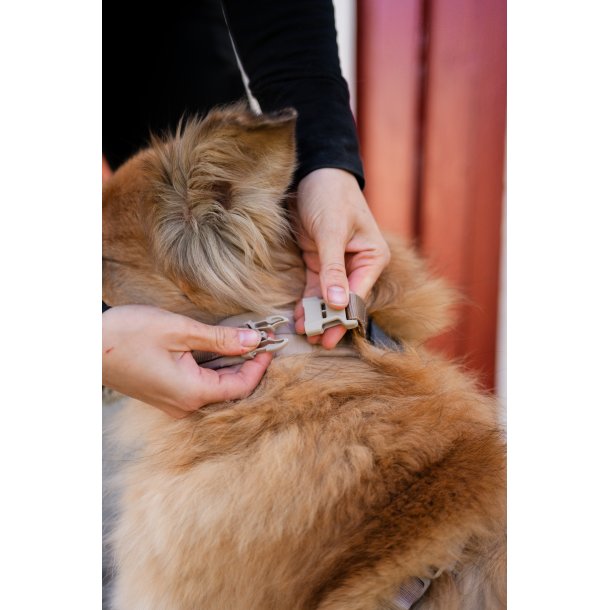Non-Stop Dogwear Line Harness CLIP'N - Sand