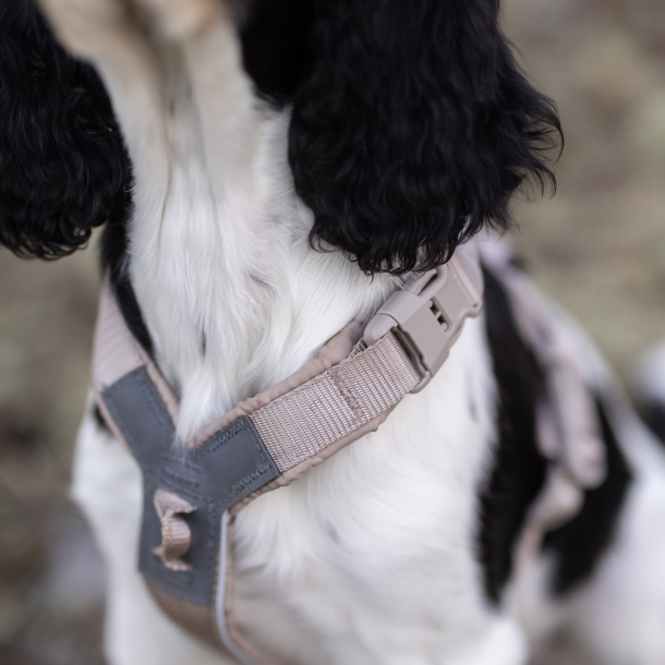 Non-Stop Dogwear Line Harness CLIP'N - Sand