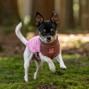 Non-stop dogwear - Fleece pullover, Mauve