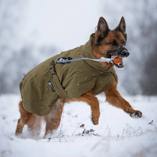 Nonstop Dogwear - Glacier hundejakke WD, Olive