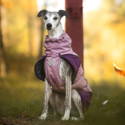 Nonstop Dogwear - Glacier hundejakke 3.0, Mauve