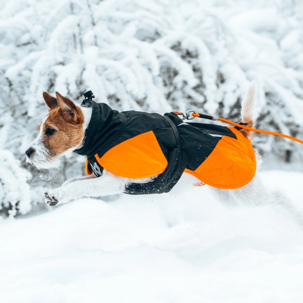 Nonstop Dogwear - Glacier hundejakke 3.0, Sort/ Orange