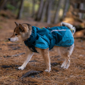 Nonstop Dogwear - Glacier hundejakke 3.0, Teal