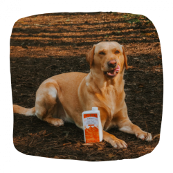 Bone Broth Fra Lam - 500 ml