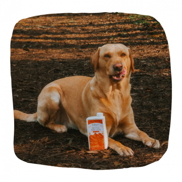 Bone Broth Fra Lam - 500 ml