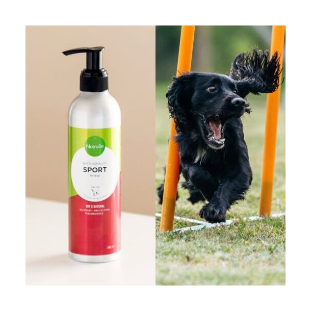 Nutrolin� - Sport, 260 ml