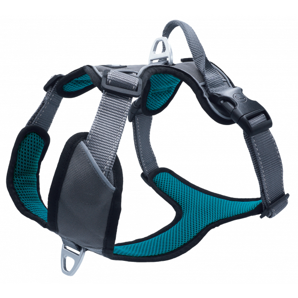 Petlando Outdoor Hundesele - Gr/petroleum