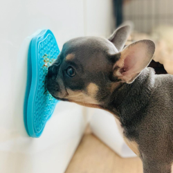 PAW Lick Pad 